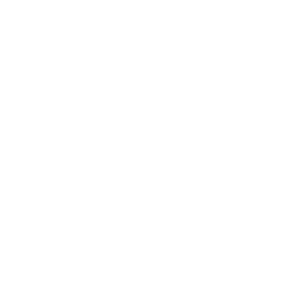 Paragon Inputs